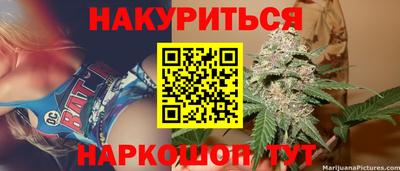 Альфа ПВП Малгобек