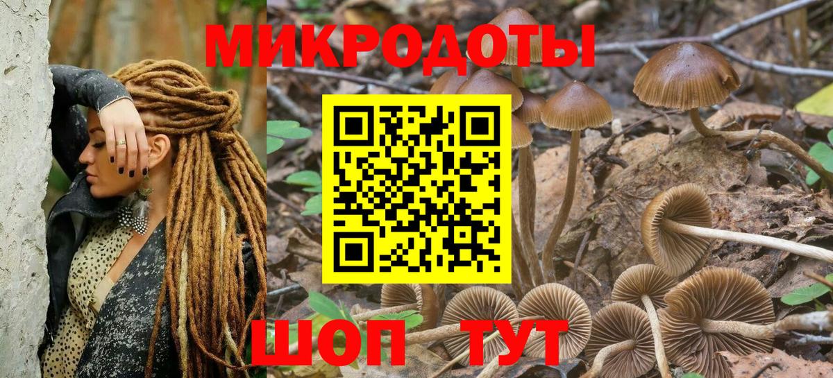 Псилоцибиновые грибы Magic Shrooms  Вход с VPN  Галлюциногенные грибы ЛСД  Щёлково 